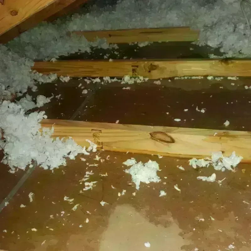 Attic Water Damage in West Chatham, MA